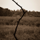 Illustration for article titled A Bog is a Bog